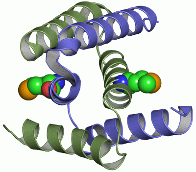 Image Asym./Biol. Unit - manually