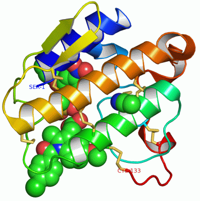 Image Asym./Biol. Unit - manually