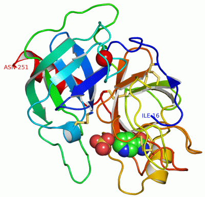 Image Asym./Biol. Unit - manually