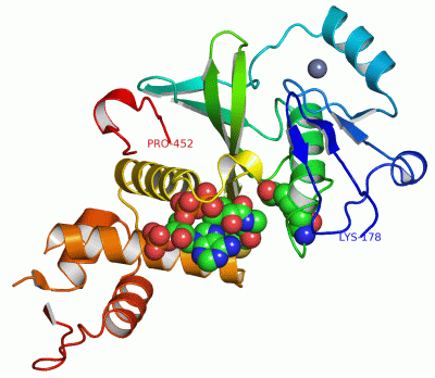 Image Asym./Biol. Unit - manually