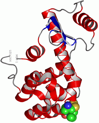 Image Asym./Biol. Unit - manually