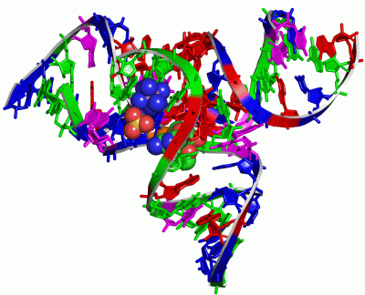 Image Asym./Biol. Unit - manually