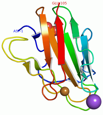 Image Asym./Biol. Unit - manually