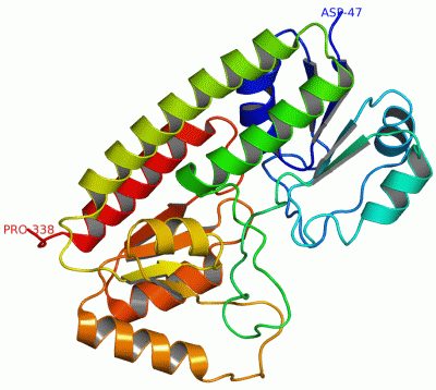 Image Asym./Biol. Unit - manually