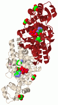 Image Biol.Unit 1 - manually