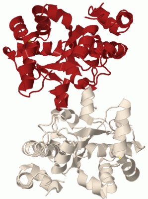 Image Biol.Unit 1 - manually