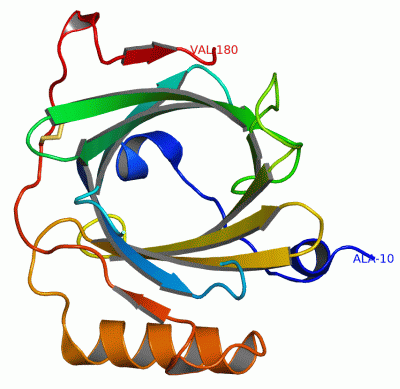 Image Asym./Biol. Unit - manually