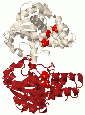 Image Biol.Unit 1 - manually