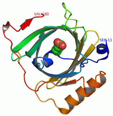 Image Asym./Biol. Unit - manually