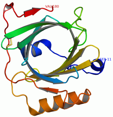 Image Asym./Biol. Unit - manually