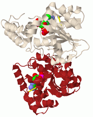 Image Biol.Unit 1 - manually