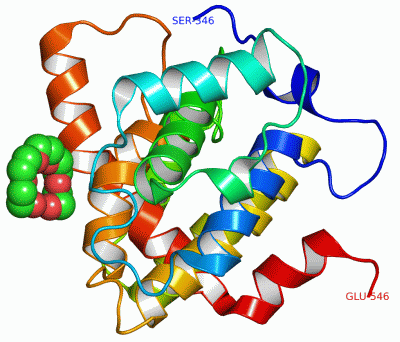 Image Asym./Biol. Unit - manually