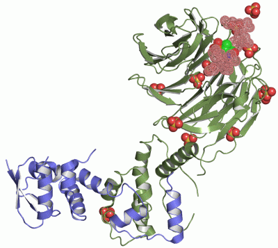 Image Asym./Biol. Unit - manually