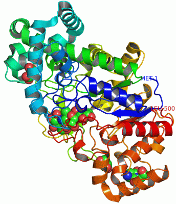 Image Asym./Biol. Unit - manually