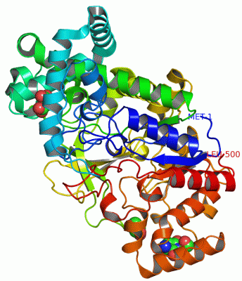 Image Asym./Biol. Unit - manually