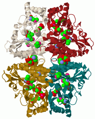 Image Biol.Unit 1 - manually