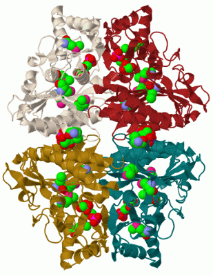 Image Biol.Unit 1 - manually