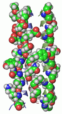 Image Asym./Biol. Unit - manually