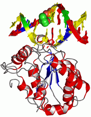 Image Asym./Biol. Unit - manually