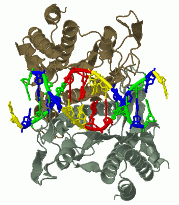 Image Biol.Unit 1 - manually