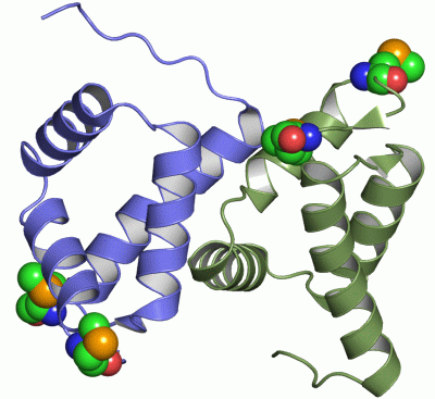 Image Asym./Biol. Unit - manually