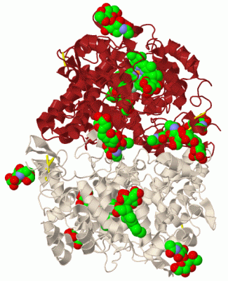 Image Biol.Unit 1 - manually