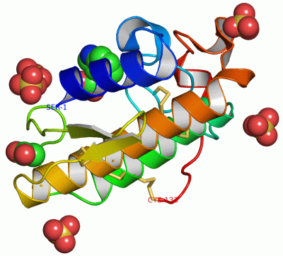 Image Asym./Biol. Unit - manually