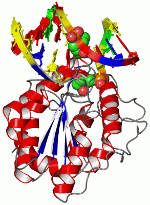 Image Asym./Biol. Unit - manually