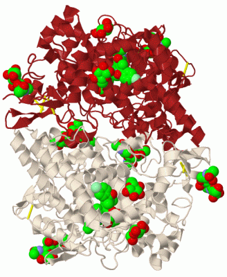 Image Biol.Unit 1 - manually