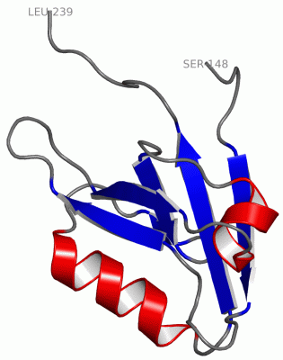 Image Asym./Biol. Unit - manually