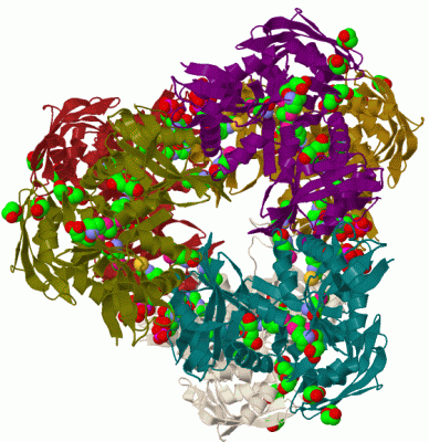 Image Biol.Unit 1 - manually