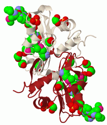 Image Biol.Unit 1 - manually