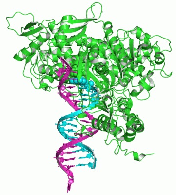 Image Asym./Biol. Unit - manually