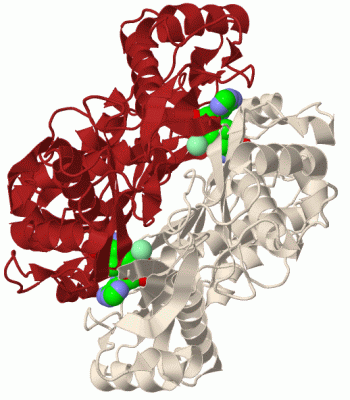 Image Biol.Unit 1 - manually