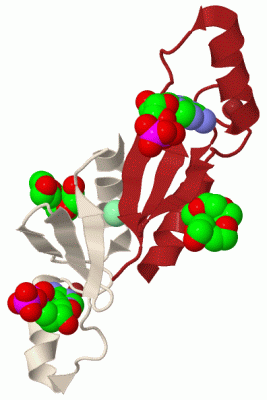 Image Biol.Unit 1 - manually