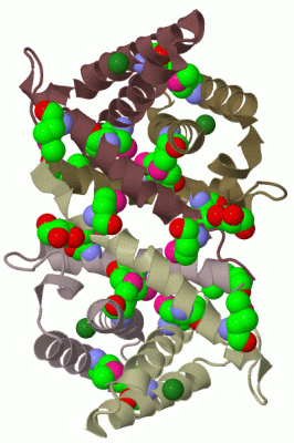 Image Biol.Unit 1 - manually