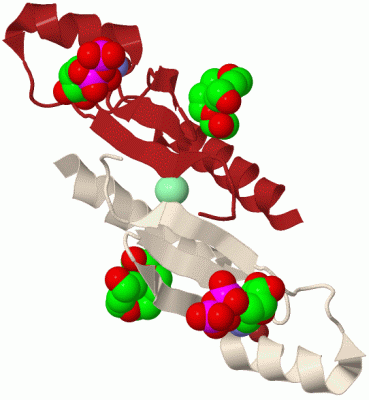 Image Biol.Unit 1 - manually