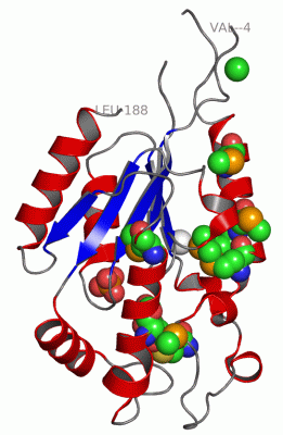 Image Asym./Biol. Unit - manually