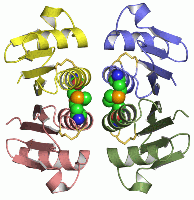 Image Asym./Biol. Unit - manually