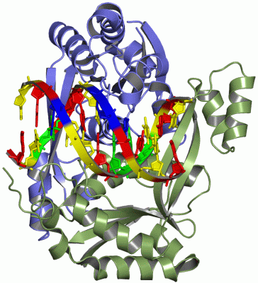 Image Asym./Biol. Unit - manually