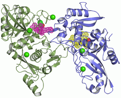 Image Asym./Biol. Unit - manually