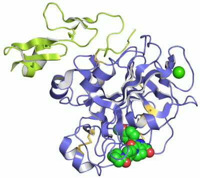 Image Asym./Biol. Unit - manually