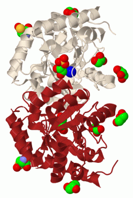 Image Biol.Unit 1 - manually