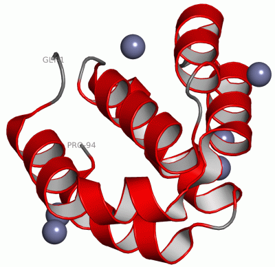 Image Asym./Biol. Unit - manually