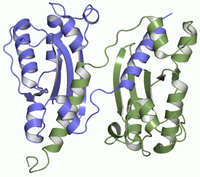 Image Asym./Biol. Unit - manually