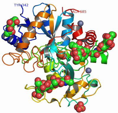 Image Asym./Biol. Unit - manually