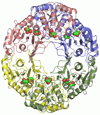 Image Asym./Biol. Unit - manually