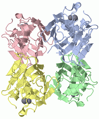 Image Biol.Unit 1 - manually