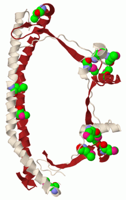 Image Biol.Unit 1 - manually