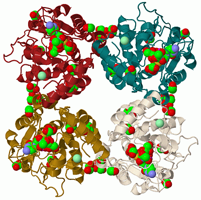 Image Biol.Unit 1 - manually